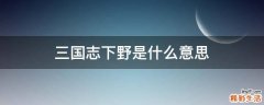 三国志下野是什么意思
