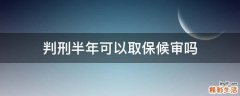 判刑半年可以取保候审吗
