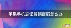 苹果手机忘记解锁密码怎么办