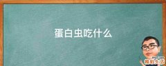 蛋白虫吃什么