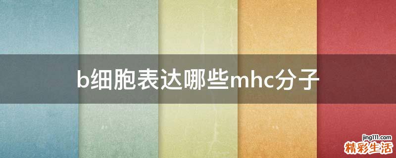 b细胞表达哪些mhc分子