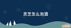 灵芝怎么泡酒