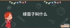 绿茄子叫什么