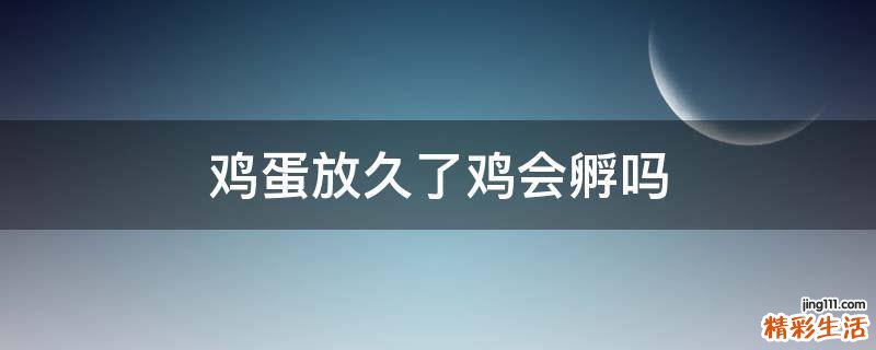 鸡蛋放久了鸡会孵吗