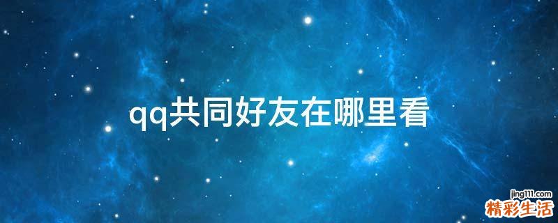 qq共同好友在哪里看