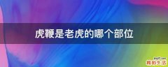 虎鞭是老虎的哪个部位