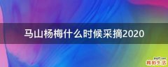 马山杨梅什么时候采摘2020
