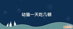 幼猫一天吃几顿