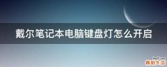 戴尔笔记本电脑键盘灯怎么开启