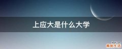 上应大是什么大学