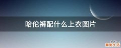 哈伦裤配什么上衣图片