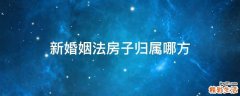 新婚姻法房子归属哪方