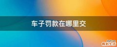 车子罚款在哪里交