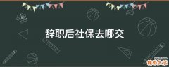 辞职后社保去哪交