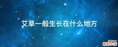 艾草一般生长在什么地方