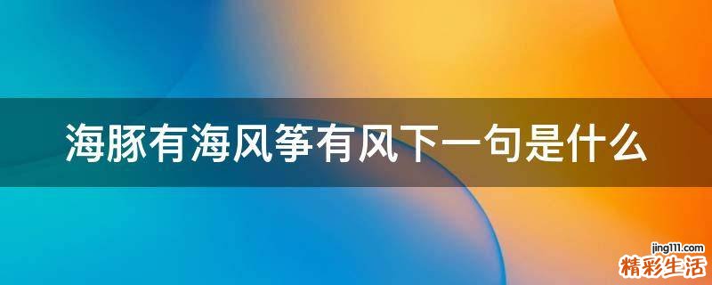 海豚有海风筝有风下一句是什么