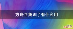 方舟企鹅训了有什么用
