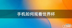 手机如何观看世界杯