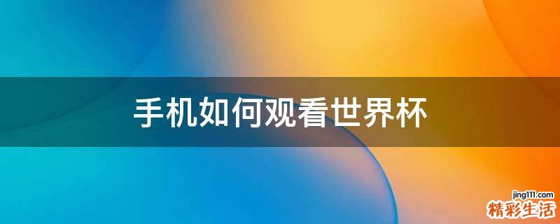 手机如何观看世界杯