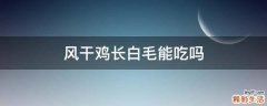 风干鸡长白毛能吃吗