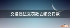 交通违法交罚款去哪交罚款
