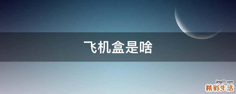 飞机盒是啥