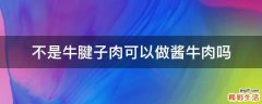 不是牛腱子肉可以做酱牛肉吗