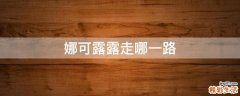 娜可露露走哪一路