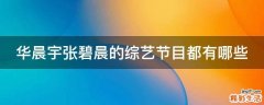 华晨宇张碧晨的综艺节目都有哪些