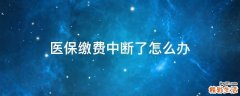 医保缴费中断了怎么办