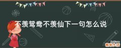 不羡鸳鸯不羡仙下一句怎么说