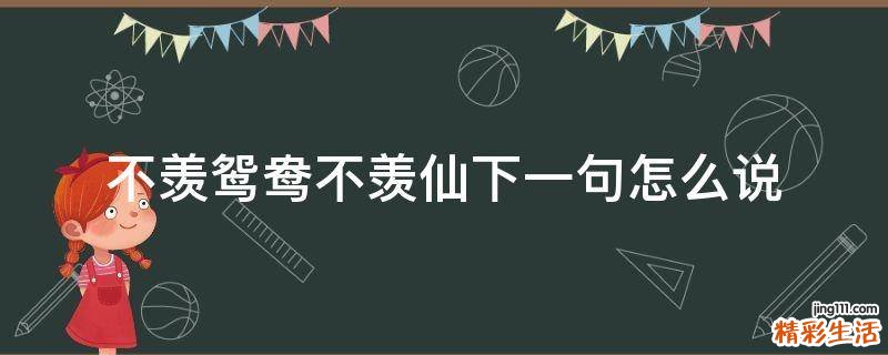 不羡鸳鸯不羡仙下一句怎么说