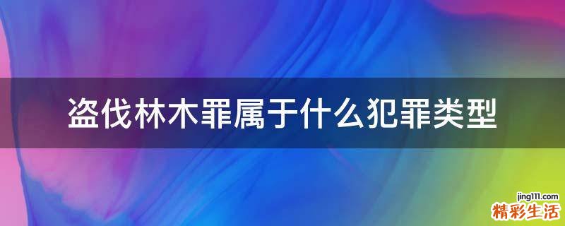 盗伐林木罪属于什么犯罪类型