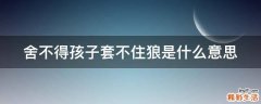 舍不得孩子套不住狼是什么意思
