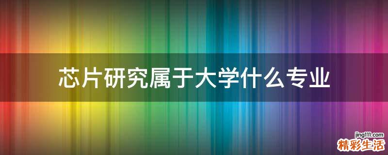 芯片研究属于大学什么专业