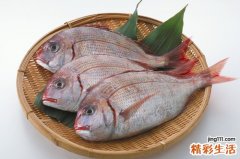 吃什么能让白发变黑