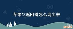 苹果12返回键怎么调出来