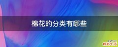 棉花的分类有哪些