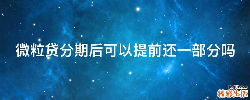 微粒贷分期后可以提前还一部分吗
