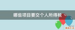 哪些项目要交个人所得税