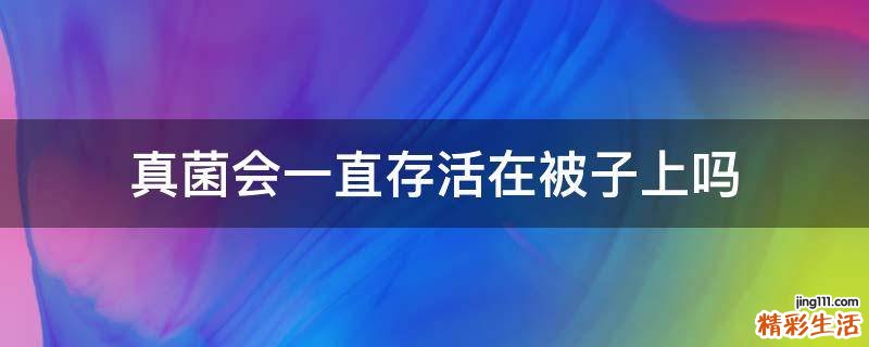 真菌会一直存活在被子上吗