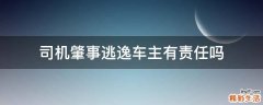 司机肇事逃逸车主有责任吗