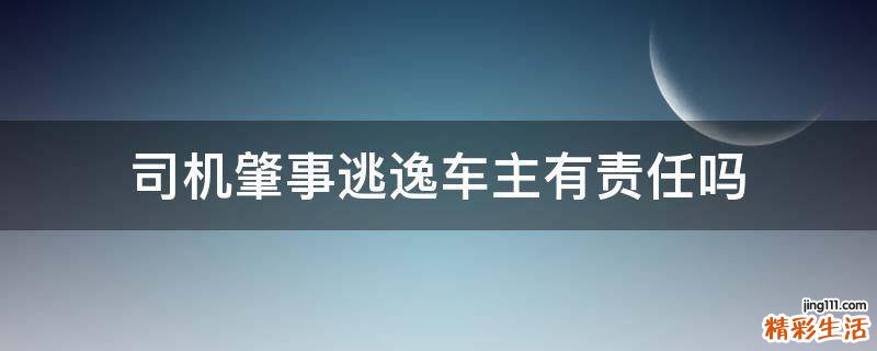 司机肇事逃逸车主有责任吗