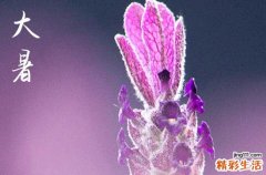 今日大暑几点几分,大暑时间2023几点几分