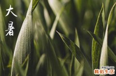 今天大暑是什么时间,2023年大暑是哪天