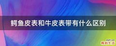 鳄鱼皮表和牛皮表带有什么区别