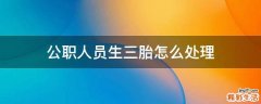 公职人员生三胎怎么处理