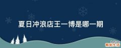 夏日冲浪店王一博是哪一期