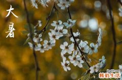 2023年大暑节气具体时间表