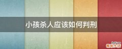小孩杀人应该如何判刑
